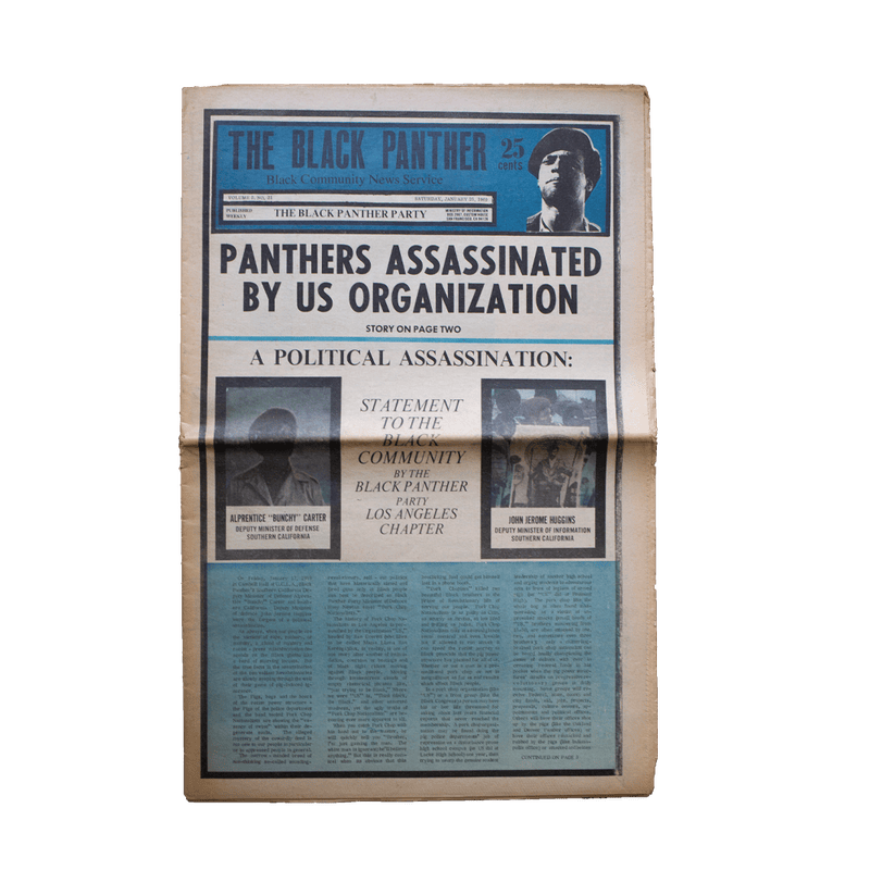 Black Panther Vol. 2 21_1609566516