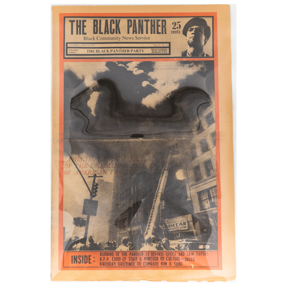 Black Panther -- Vol. IV, #20 -- [Magazine]
