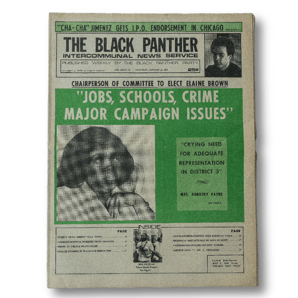 Black Panther -- Vol. XII #26 [Magazine]