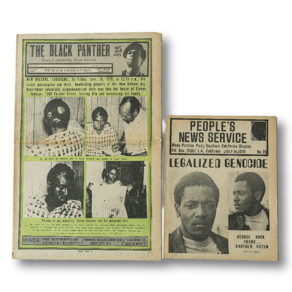 Black Panther -- Vol. V #2 / SC Chapter #29 [Magazine]