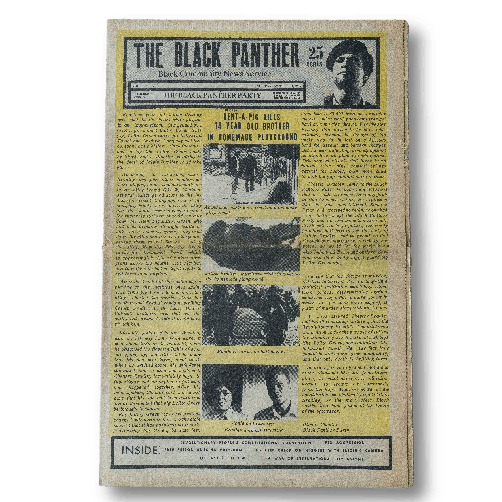 Black Panther -- Vol. V #17 [Magazine]