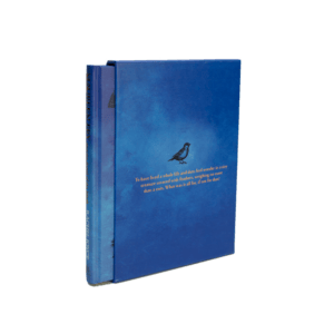 Joyce, Rachel -- Maureen Fry and the Angel of the North [Book]