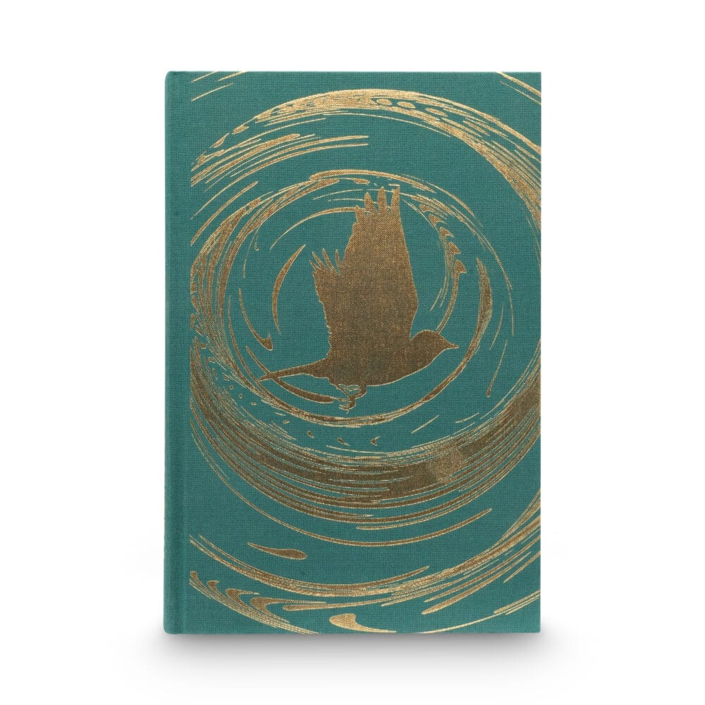 Hall, Clare Leslie -- Broken Country [Book]